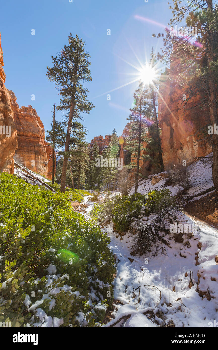 Parco Nazionale di Bryce Canyon sole e neve nel sud dello Utah. Foto Stock