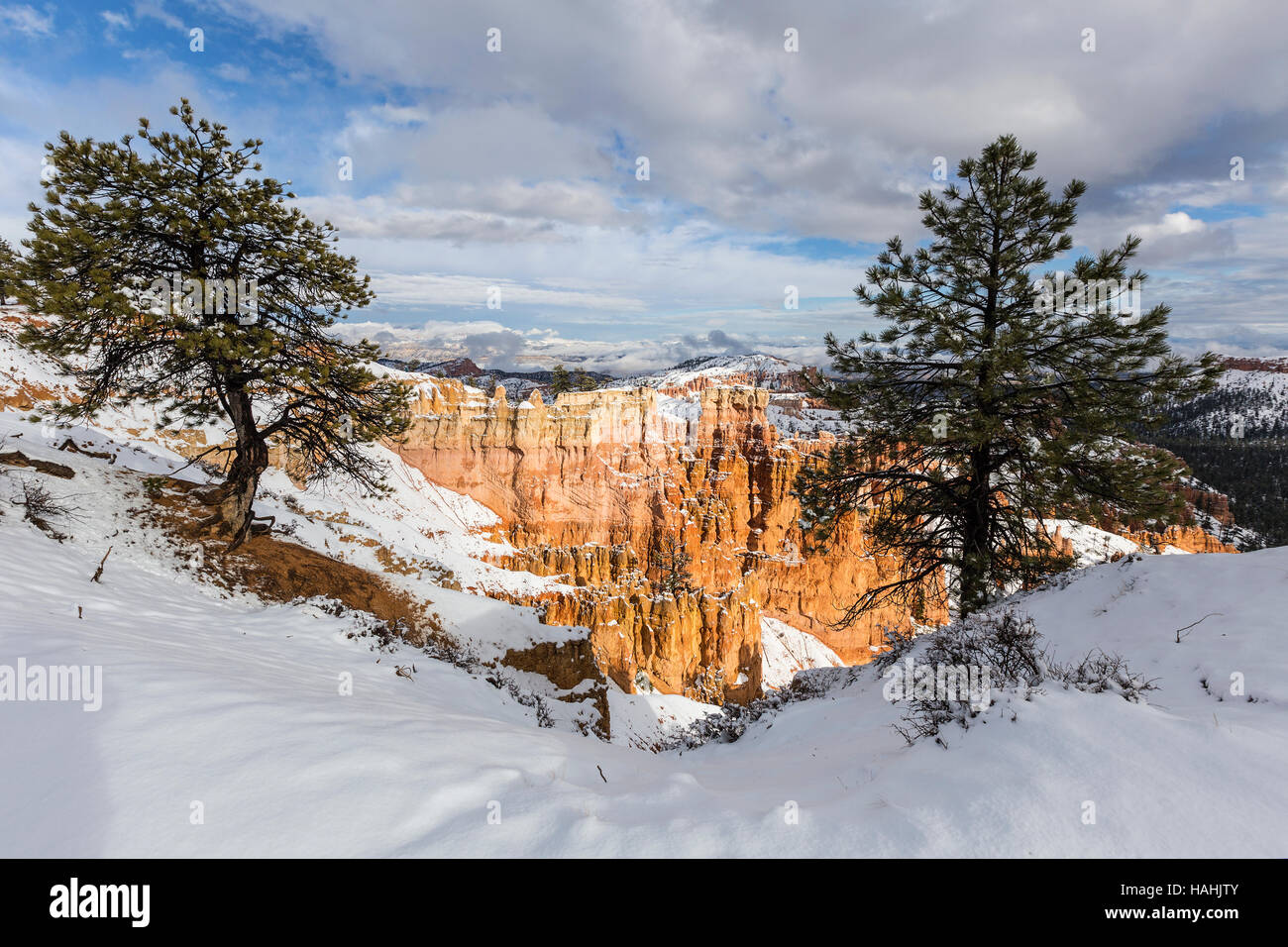 Vista nevoso di Bryce Canyon National Park nel sud dello Utah. Foto Stock