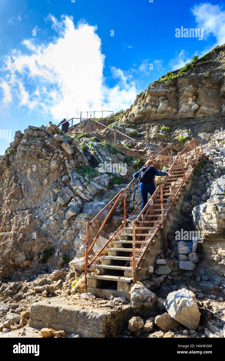 La scoscesa scogliera passi laterali alla foresta fossile, i resti di una foresta sommersa dall'era giurassica, Dorset, England, Regno Unito Foto Stock