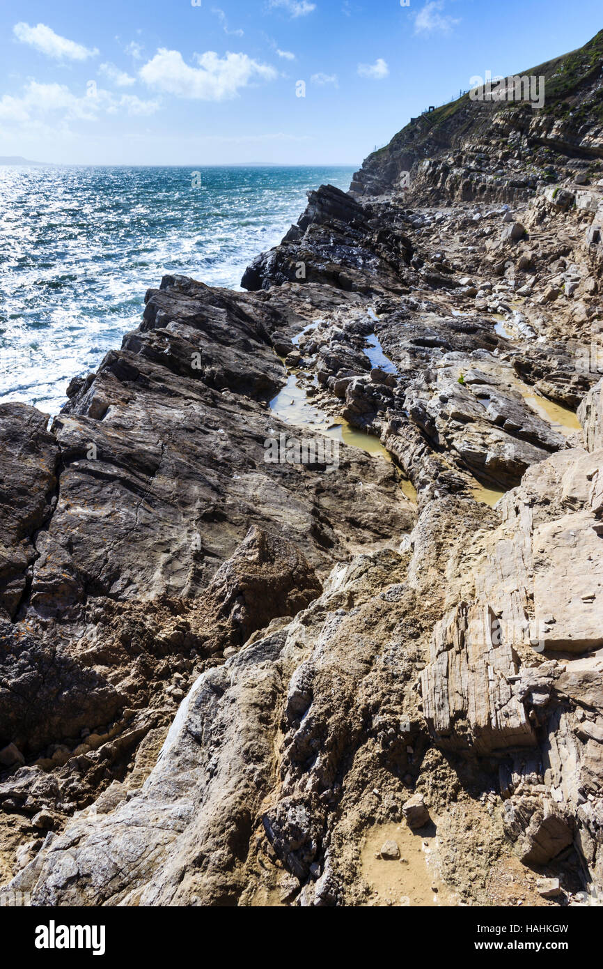 La foresta fossile, i resti di una antica foresta sommersa dall'era giurassica nel Dorset, England, Regno Unito Foto Stock
