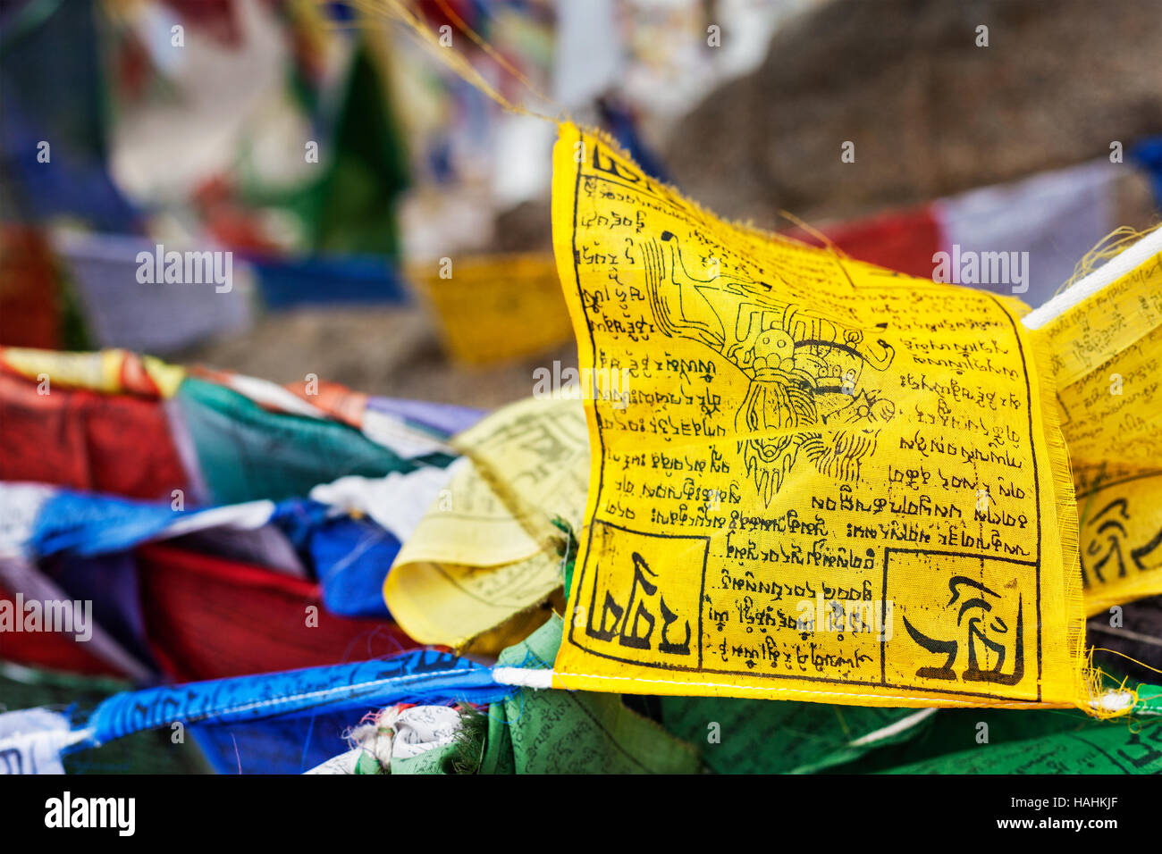 Bandiere Di Preghiera Del Buddismo Tibetano  Lungta  Con La Preghiera Del Mantra Buddista Di Om Mani Padme Hum Leh Ladakh Jammu E Kashmir India Image385738447 - 8