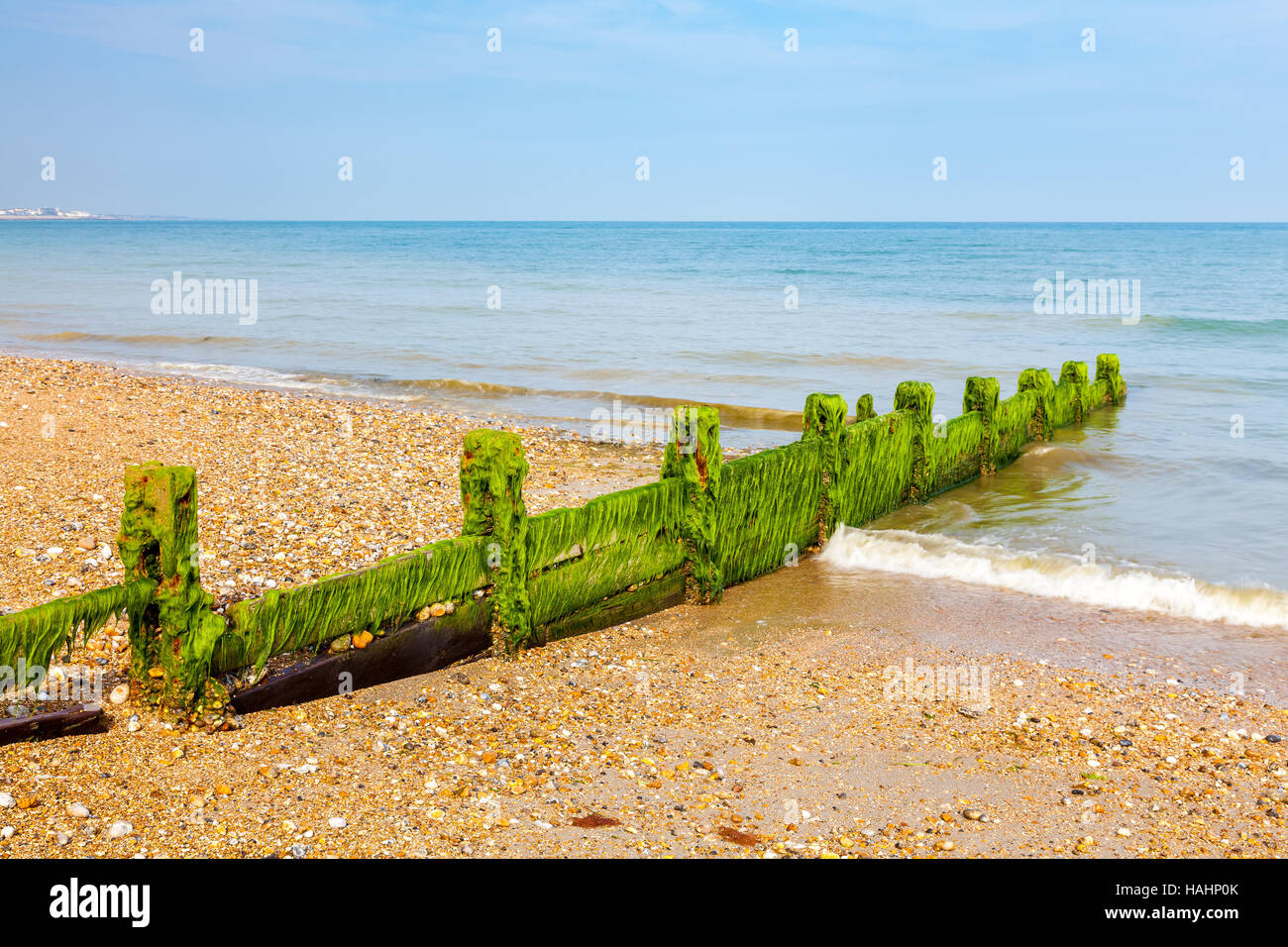 Pennelli di legno sulla spiaggia di ciottoli a Pagham West Sussex England Regno Unito Europa Foto Stock