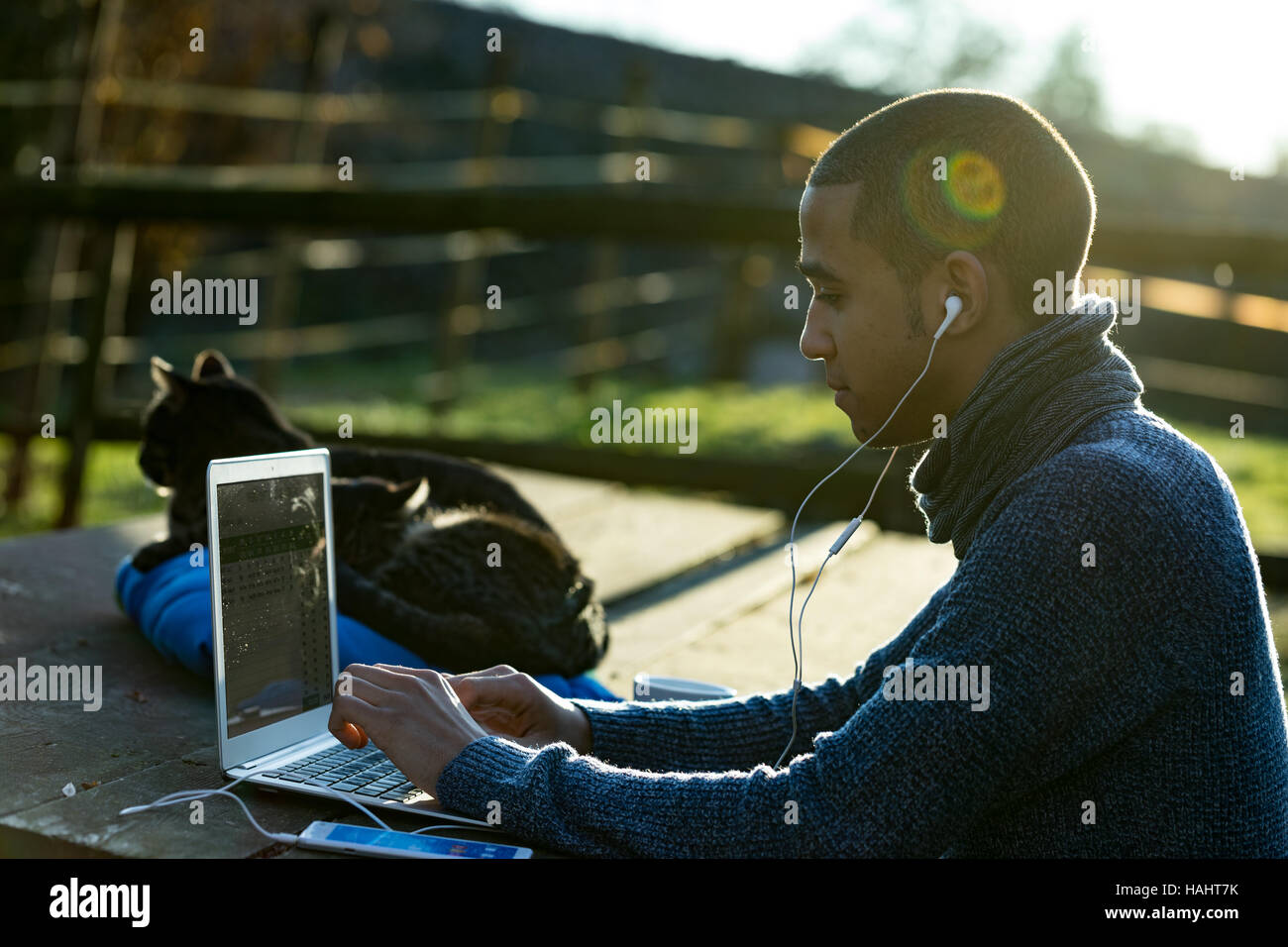 Imprenditore younb per lavorare in esterno alla luce del sole con tre bei gatti Foto Stock