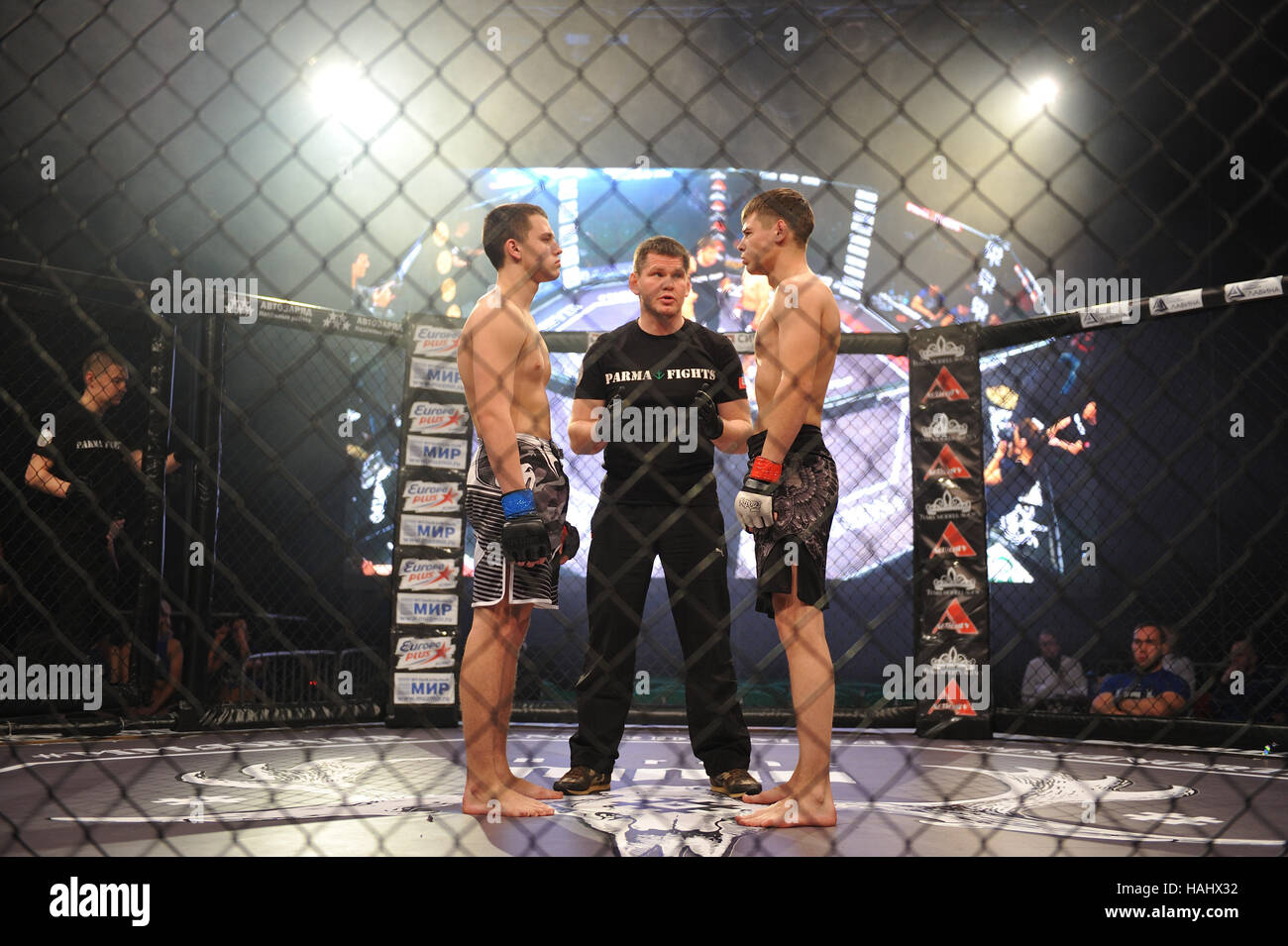 SYKTYVKAR, Russia - 26 novembre 2016: Professional MMA Parma combatte -7 torneo. Foto Stock