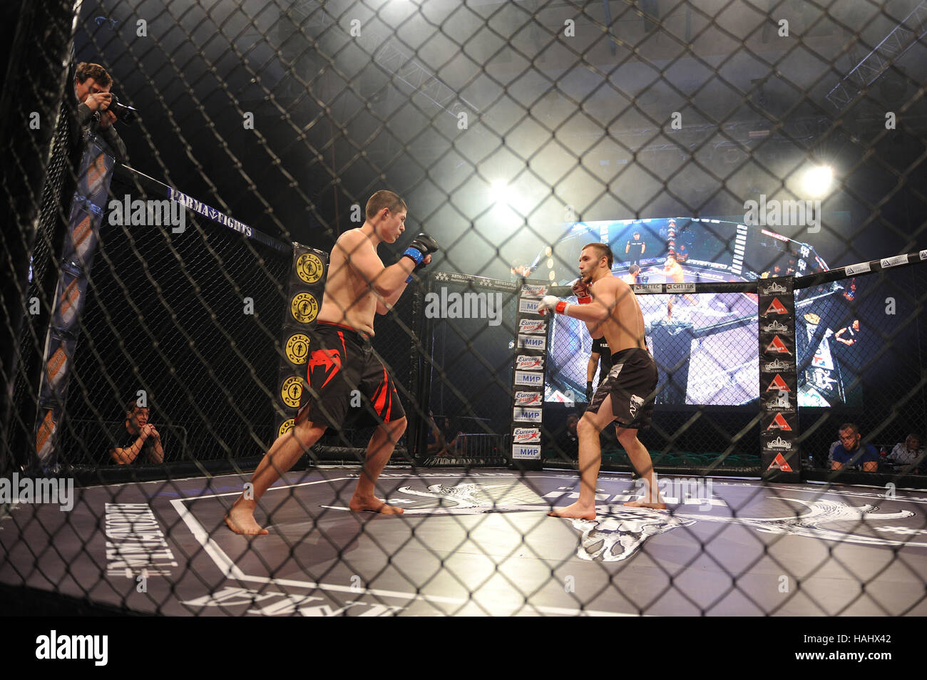 SYKTYVKAR, Russia - 26 novembre 2016: Professional MMA Parma combatte -7 torneo. Foto Stock