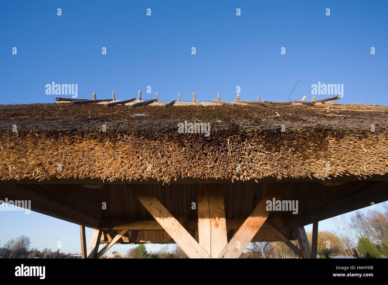 tetto di paglia Foto Stock