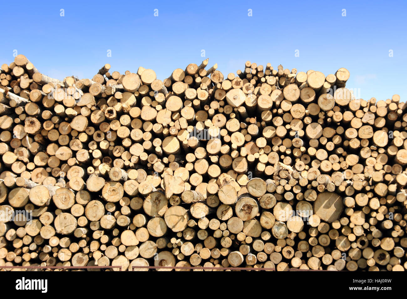 travi di legno Foto Stock
