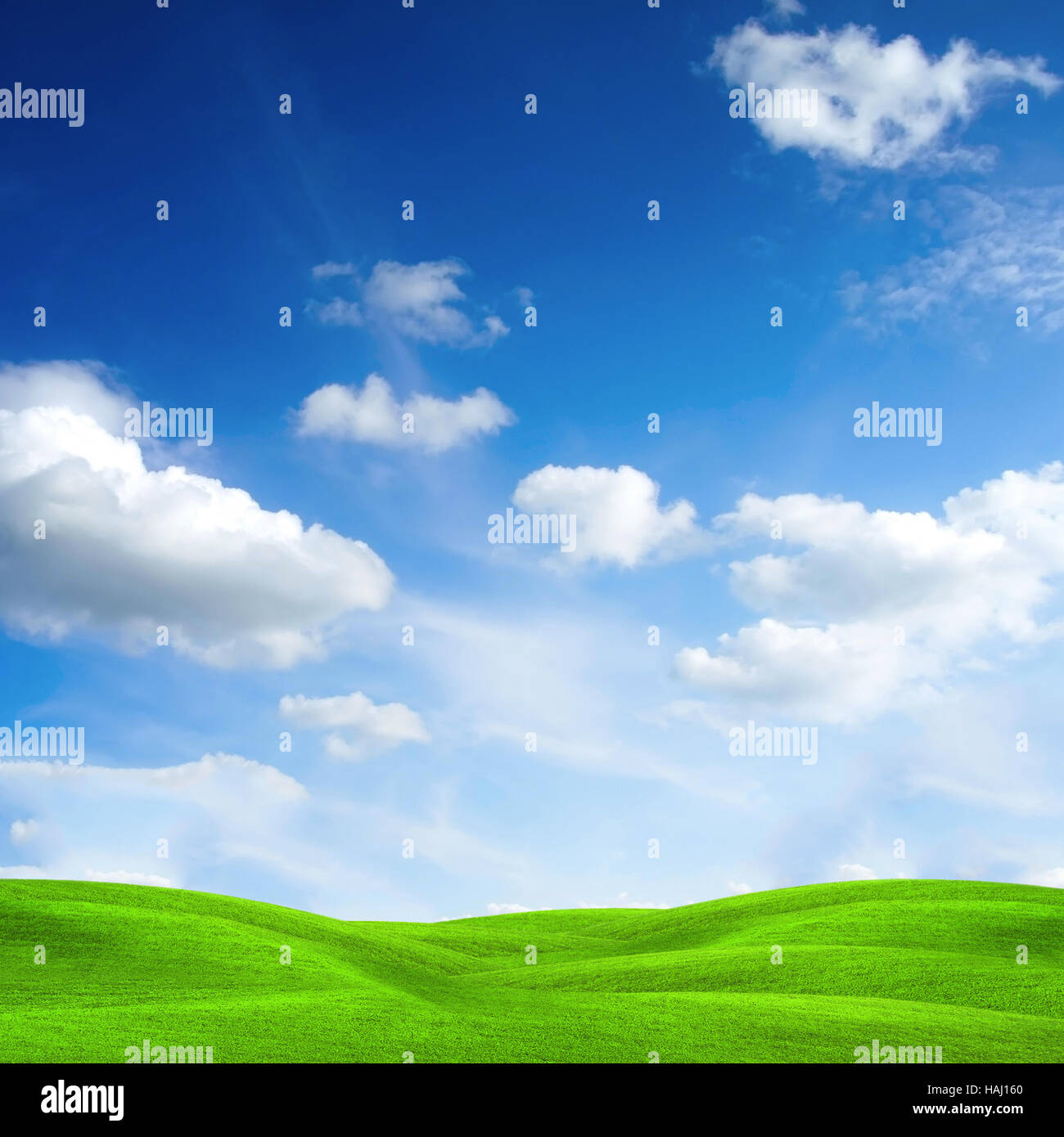 Campo verde e blu cielo Foto Stock