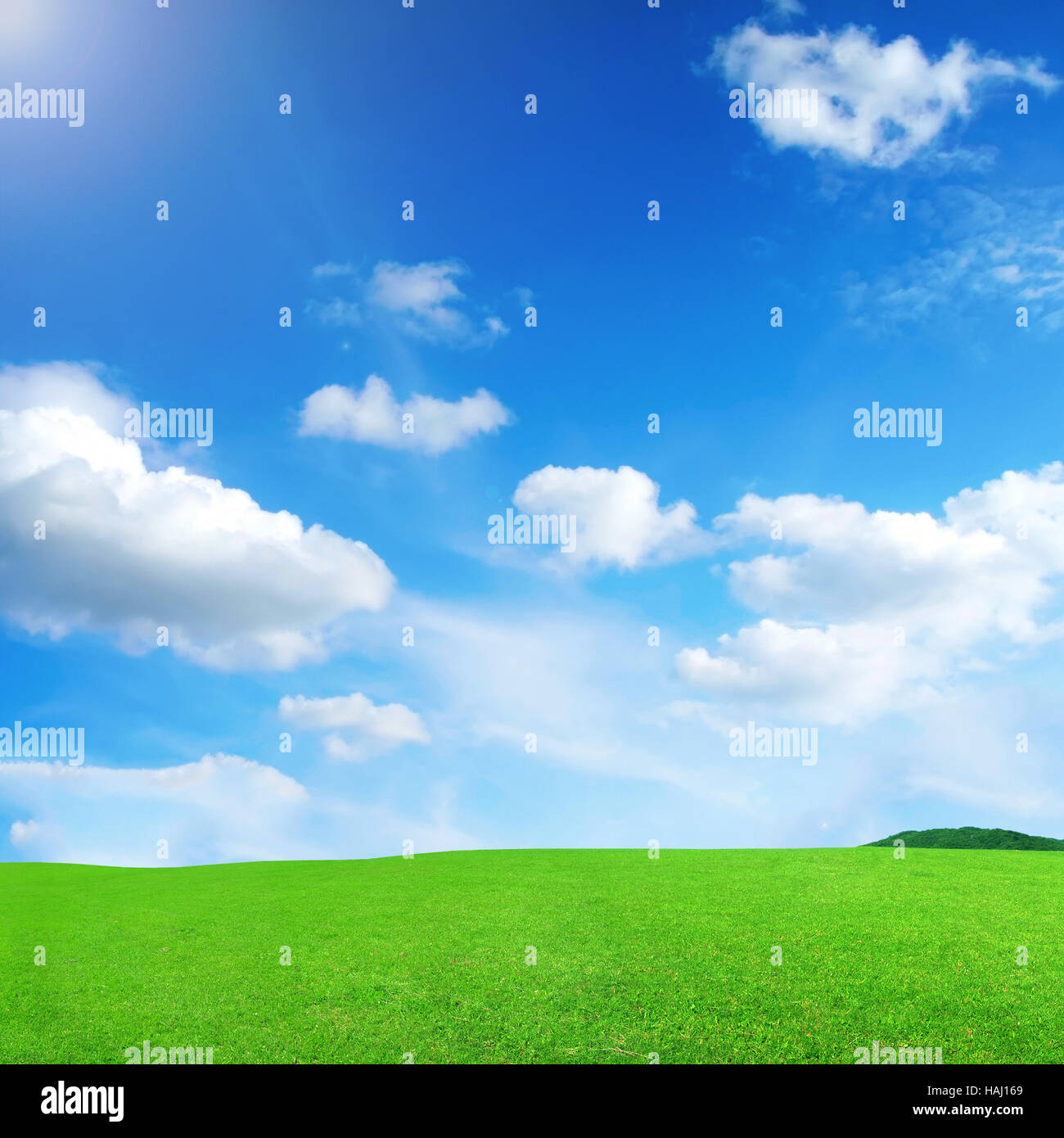 Il cielo blu con nuvole e prato verde Foto Stock