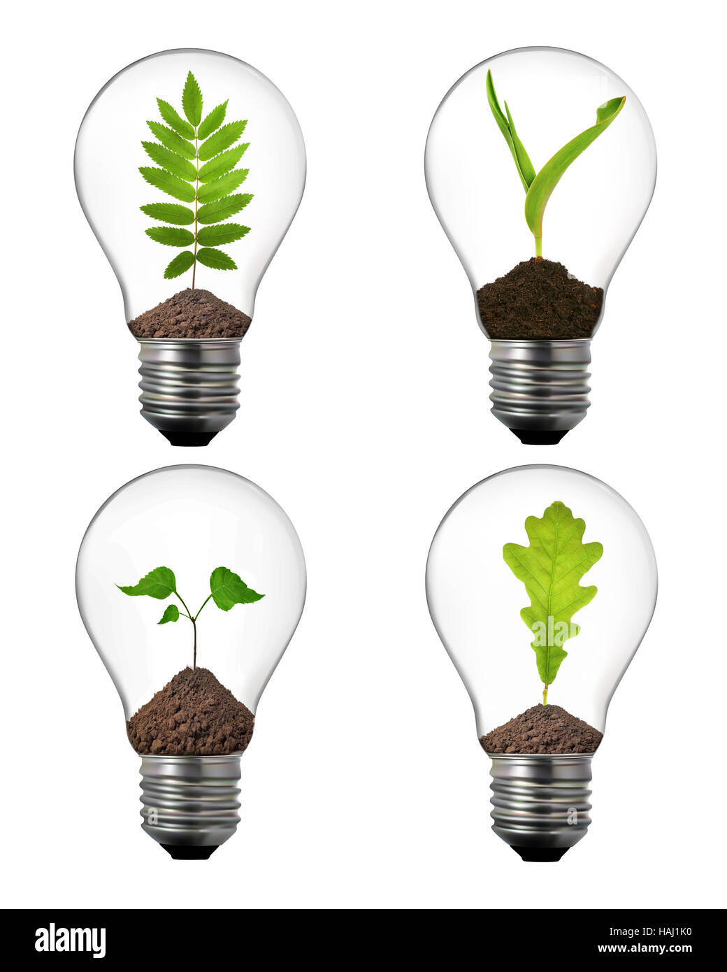 L'energia alternativa concetto: varietà di lampadine con impianto interno Foto Stock