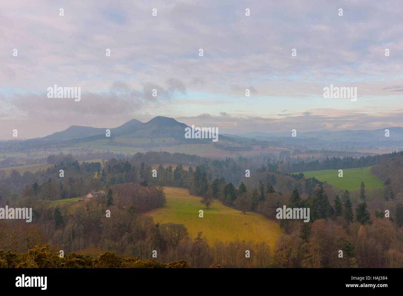 Le colline di Eildon da Scott's View vicino a melrose nel bordi scoscish Foto Stock