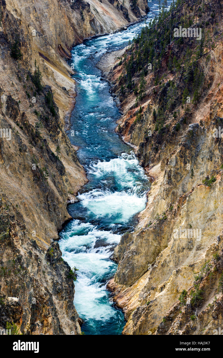 Yellowstone River sotto la Upper Falls, il Parco Nazionale di Yellowstone, Wyoming USA Foto Stock
