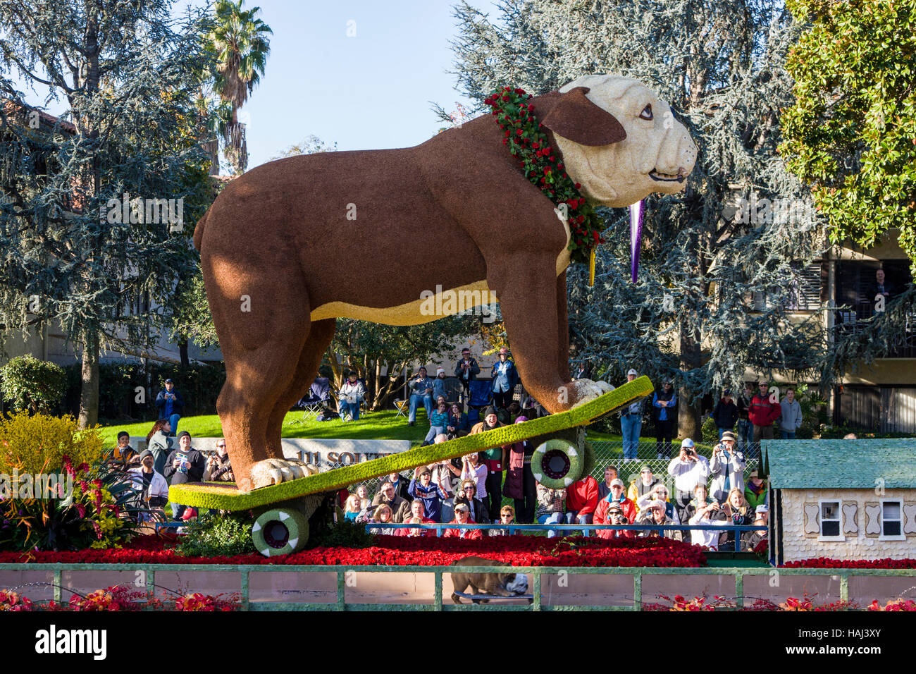 Cane grande skateboard sul galleggiante decorato con fiori all'annuale Giorno di nuovi anni Rose Bowl Parade, Pasadena, California, Stati Uniti d'America Foto Stock