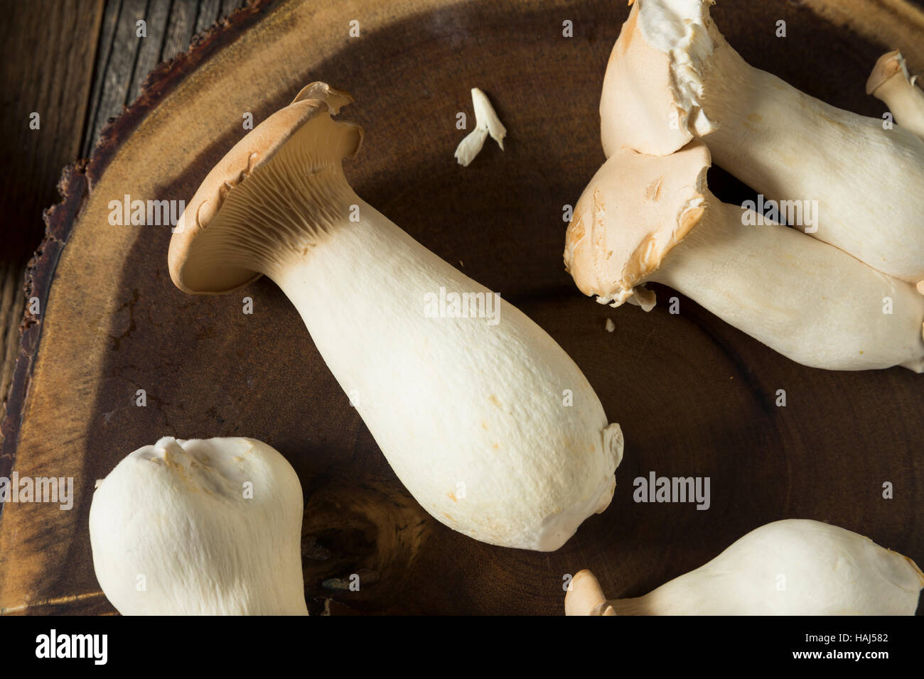 Raw re organico funghi Oyster in un cestello Foto Stock