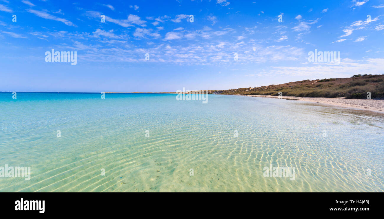 Il poco profondo, le acque cristalline della Baia del Corallo, Australia occidentale Foto Stock