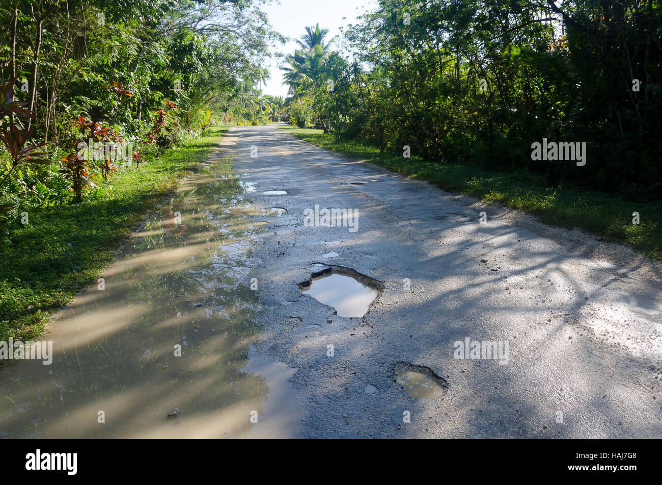 Strada di campagna con buche, Makefu, Niue, South Pacific Oceania Foto Stock