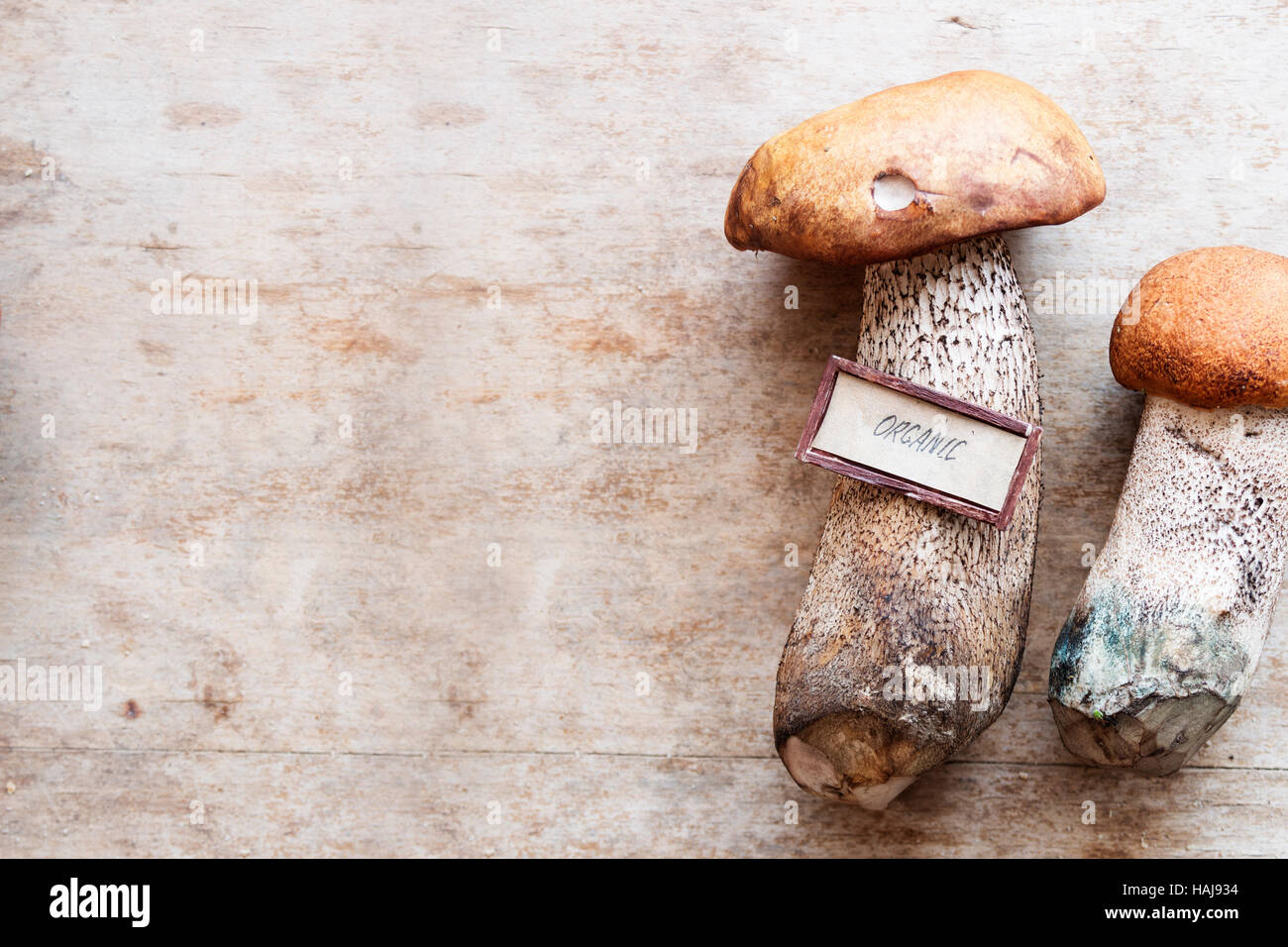 Alimenti biologici idea, funghi selvatici sul tavolo. Foto Stock