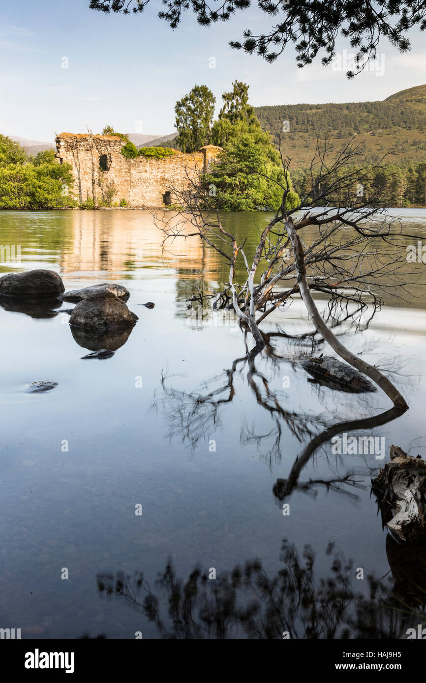 Le rovine del castello sul Loch un Eilein in Scozia. Foto Stock