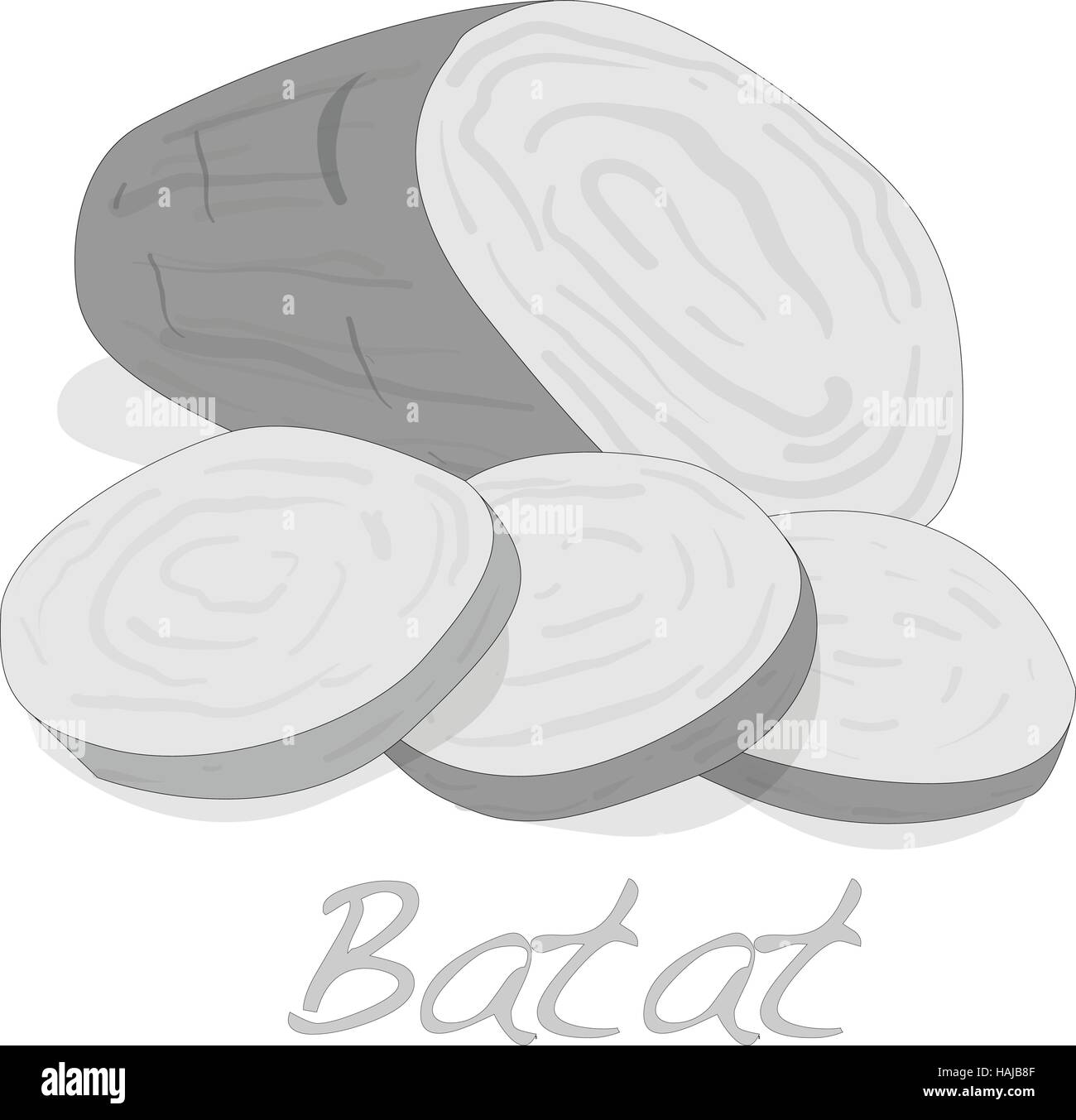 Batat, patata dolce vettore isolato su sfondo bianco Illustrazione Vettoriale