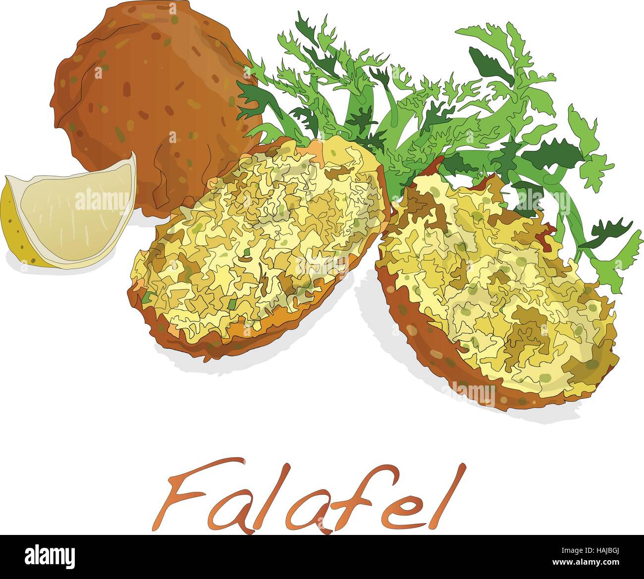 Falafel sfere vettore isolato su uno sfondo bianco Illustrazione Vettoriale