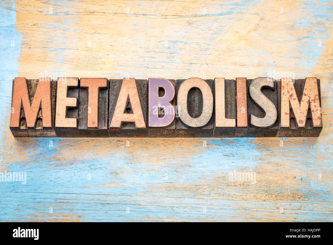 Metabolismo - parola abstract in rilievografia vintage tipo legno blocchi di stampa Foto Stock