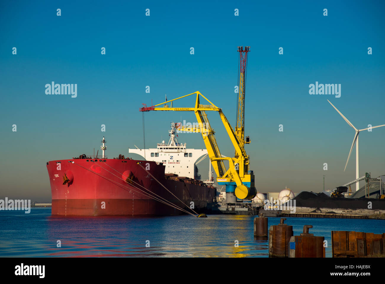 Nave bulk lo scarico di carbone nel porto di Amsterdam Foto Stock