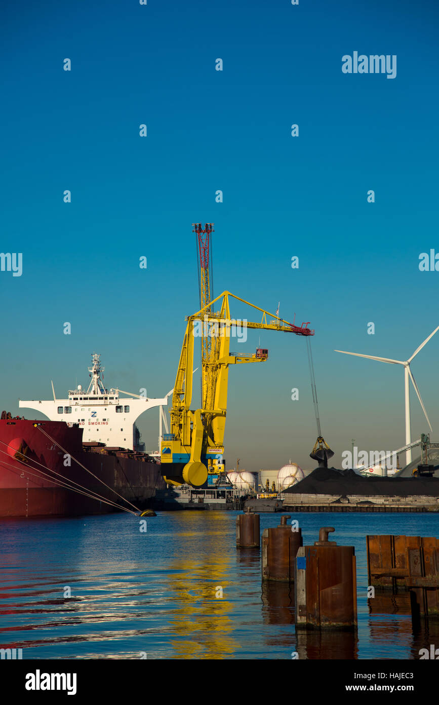Nave bulk lo scarico di carbone nel porto di Amsterdam Foto Stock
