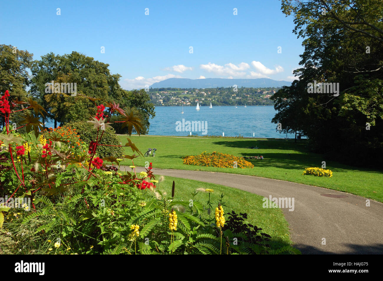 Parco dal lago di Ginevra in estate. Foto Stock