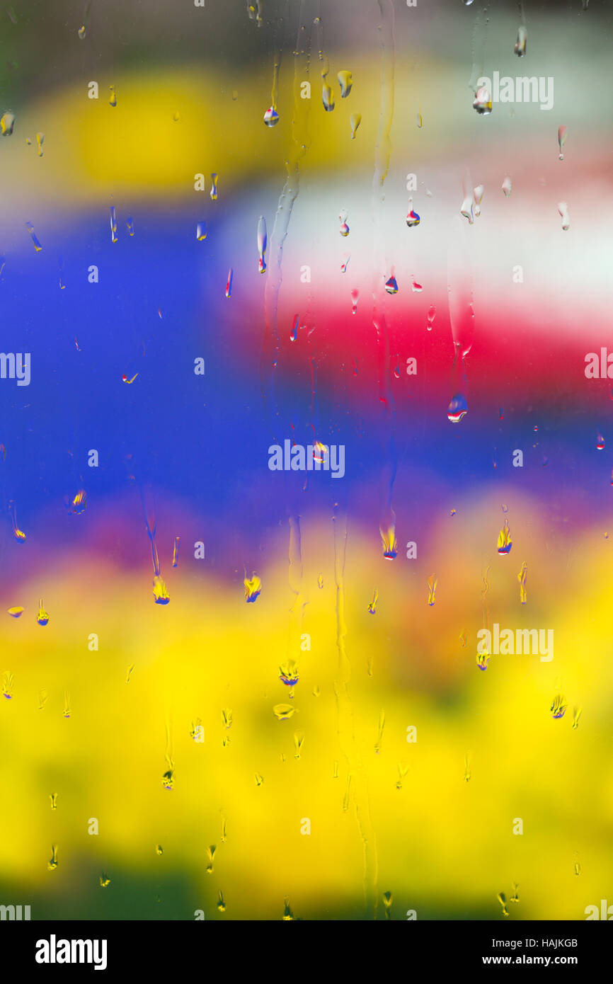 Gocce di acqua sul vetro sullo sfondo delle colorate tulipani. Foto Stock