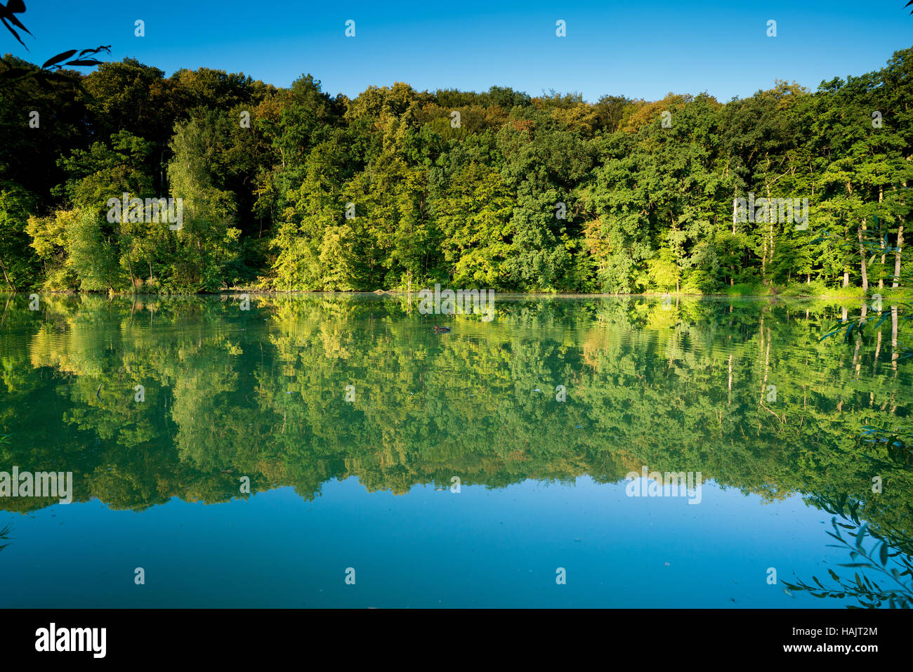Il lago e il verde della foresta Foto Stock