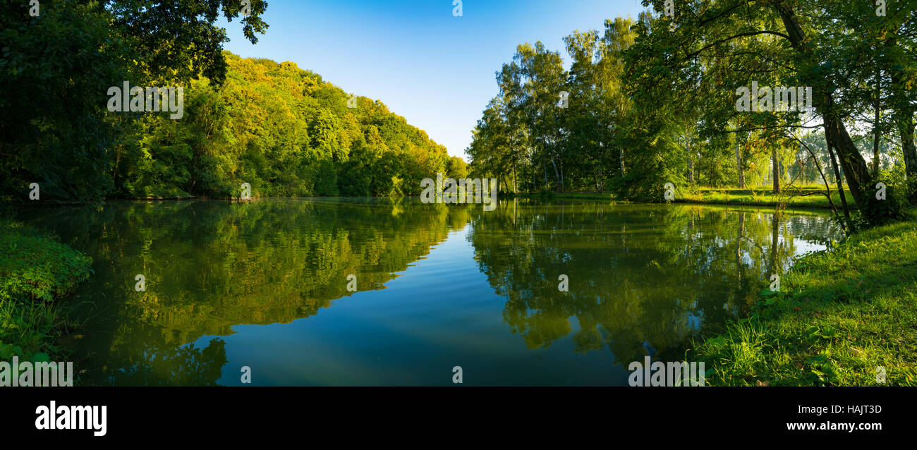 Il lago e il verde della foresta Foto Stock