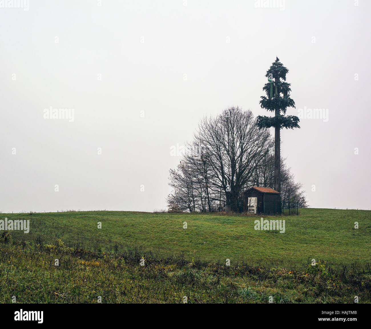 Antenna di telecomunicazione mascherato in una struttura ad albero. Foto Stock