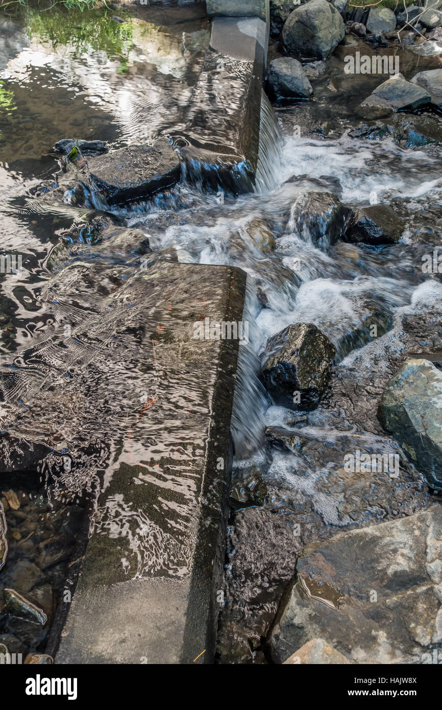 Primo piano della fretta acqua in Des Moines Creek nello Stato di Washington. Foto Stock