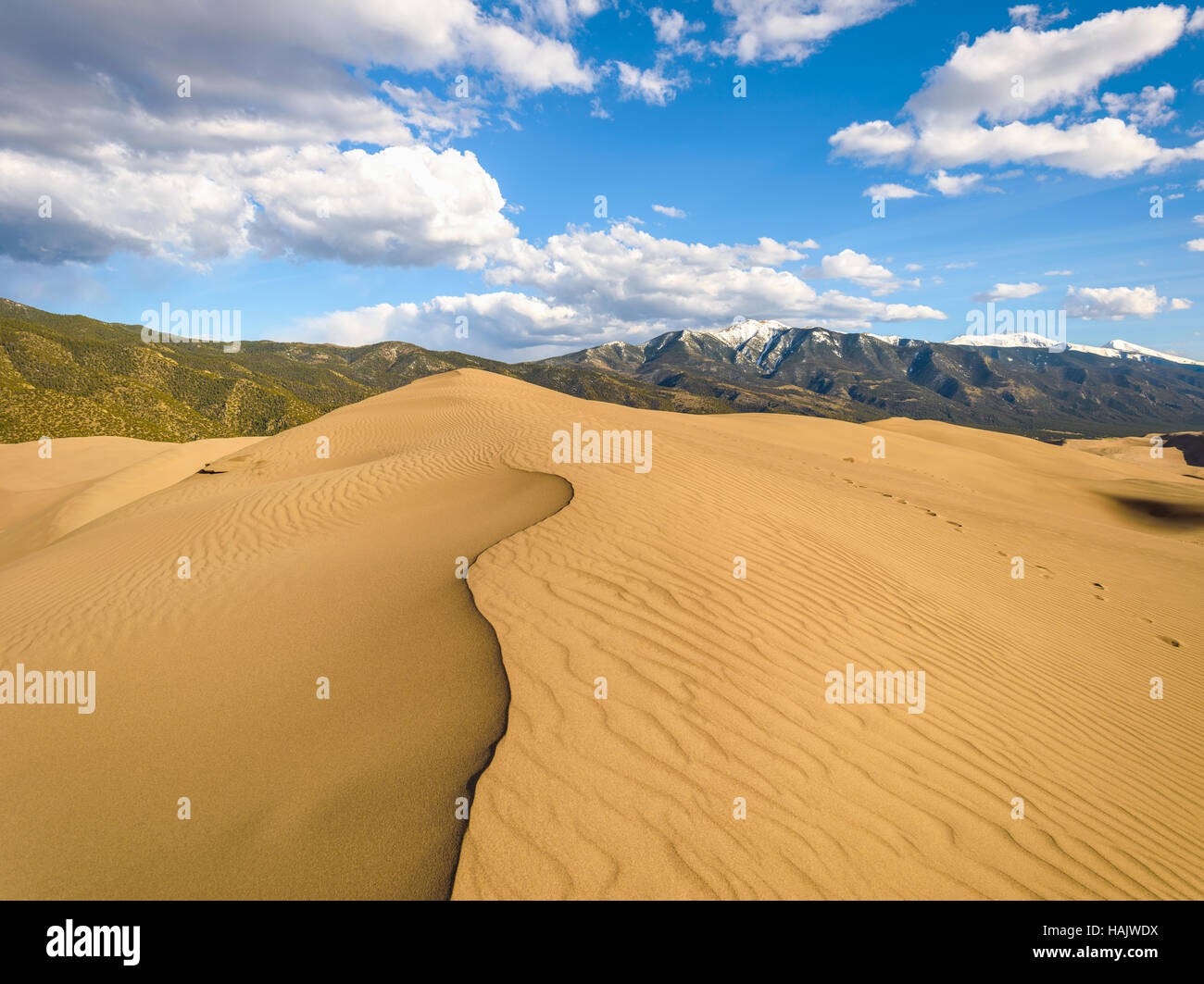 Grandi dune di sabbia - vista superiore di dune di sabbia su un ripido crinale. Great Sand Dunes National Park & Preserve, Colorado, Stati Uniti d'America. Foto Stock