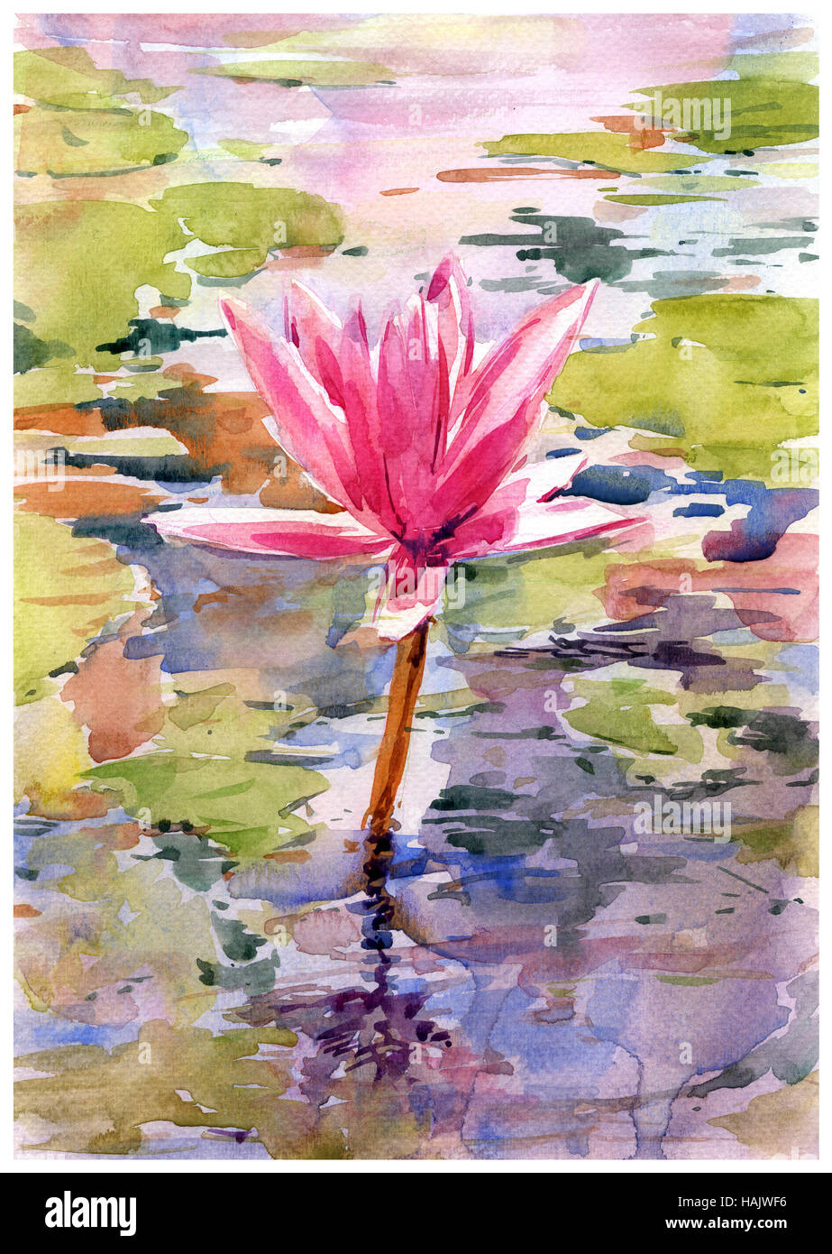 Illustrazione acquarello dipinto di lotus Foto Stock