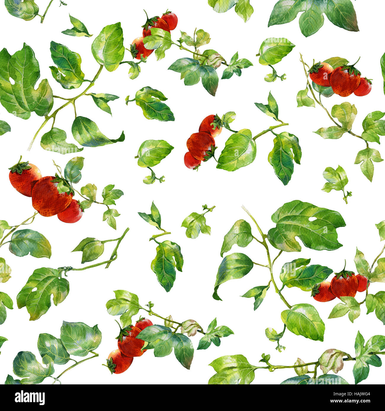 Acquerello illustrazione della balestra e fragola, seamless pattern su sfondo bianco Foto Stock