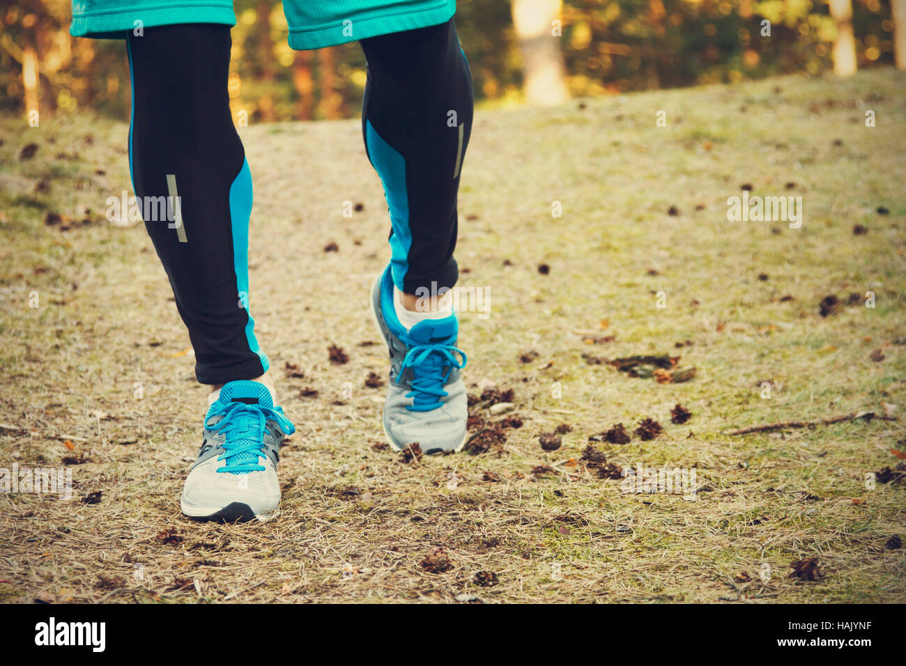 Formazione in esecuzione nei boschi Foto Stock