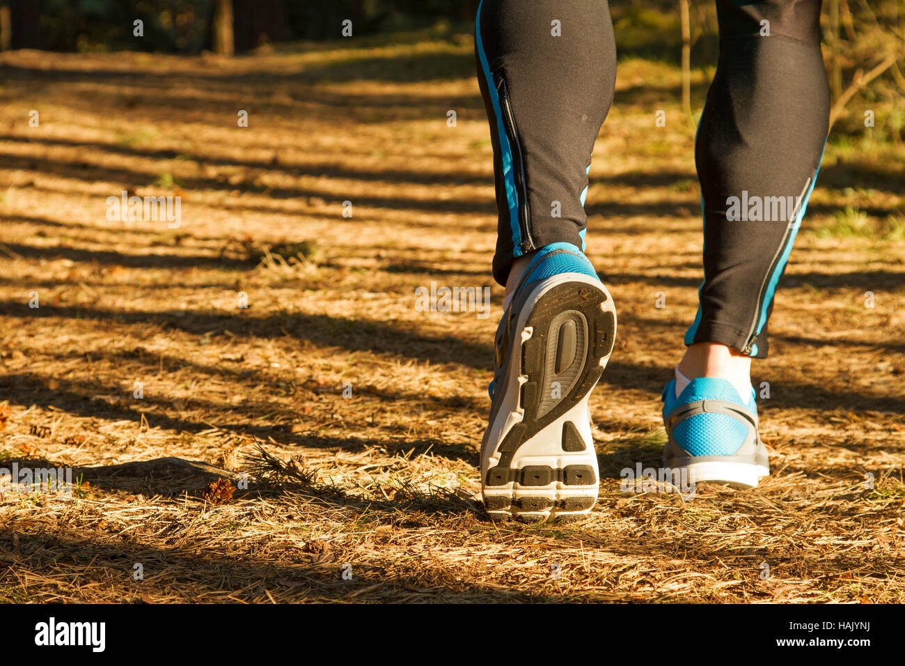 Esecuzione di allenamento nella foresta al tramonto Foto Stock