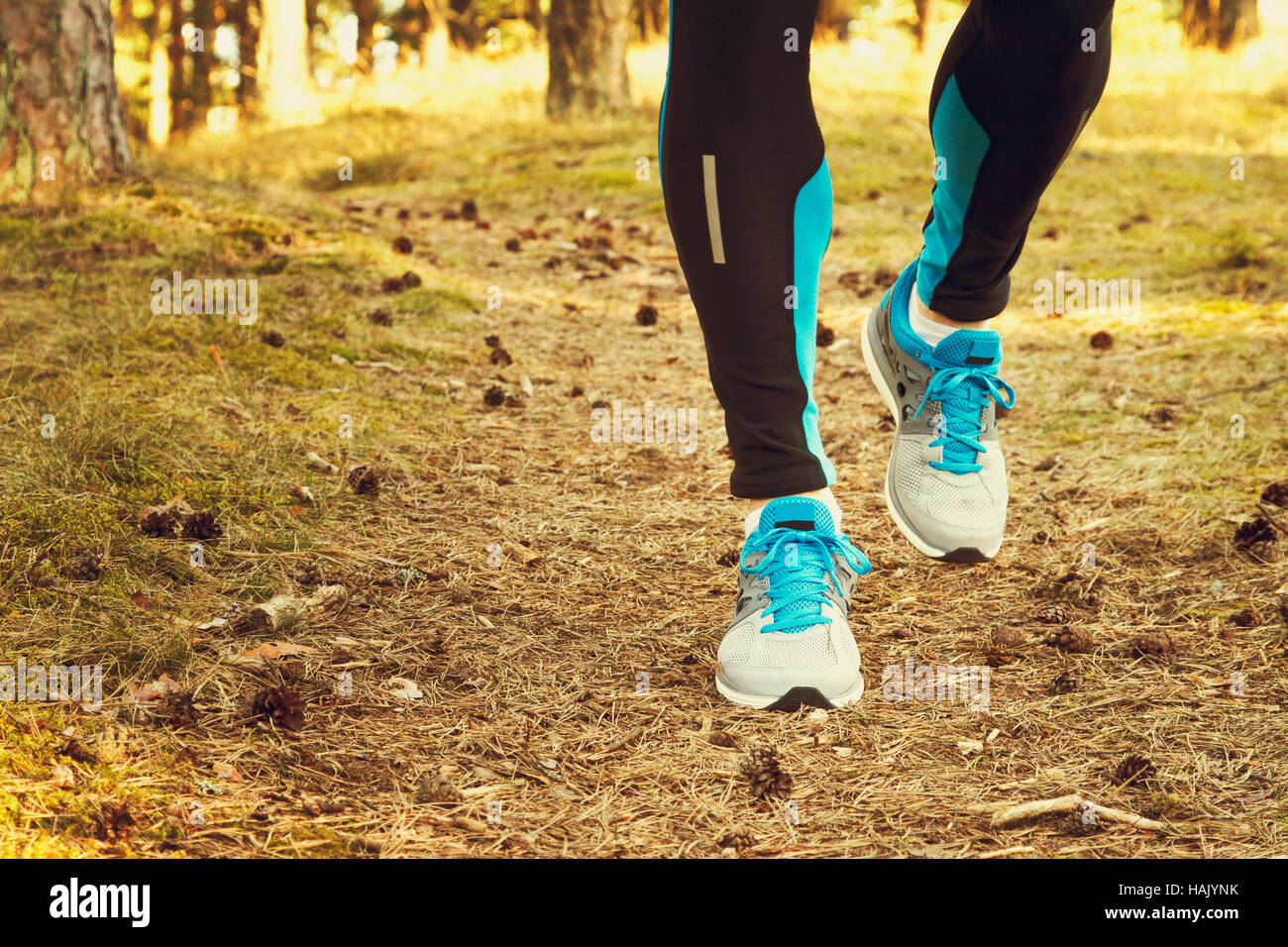 Lungo il sentiero forestale Foto Stock