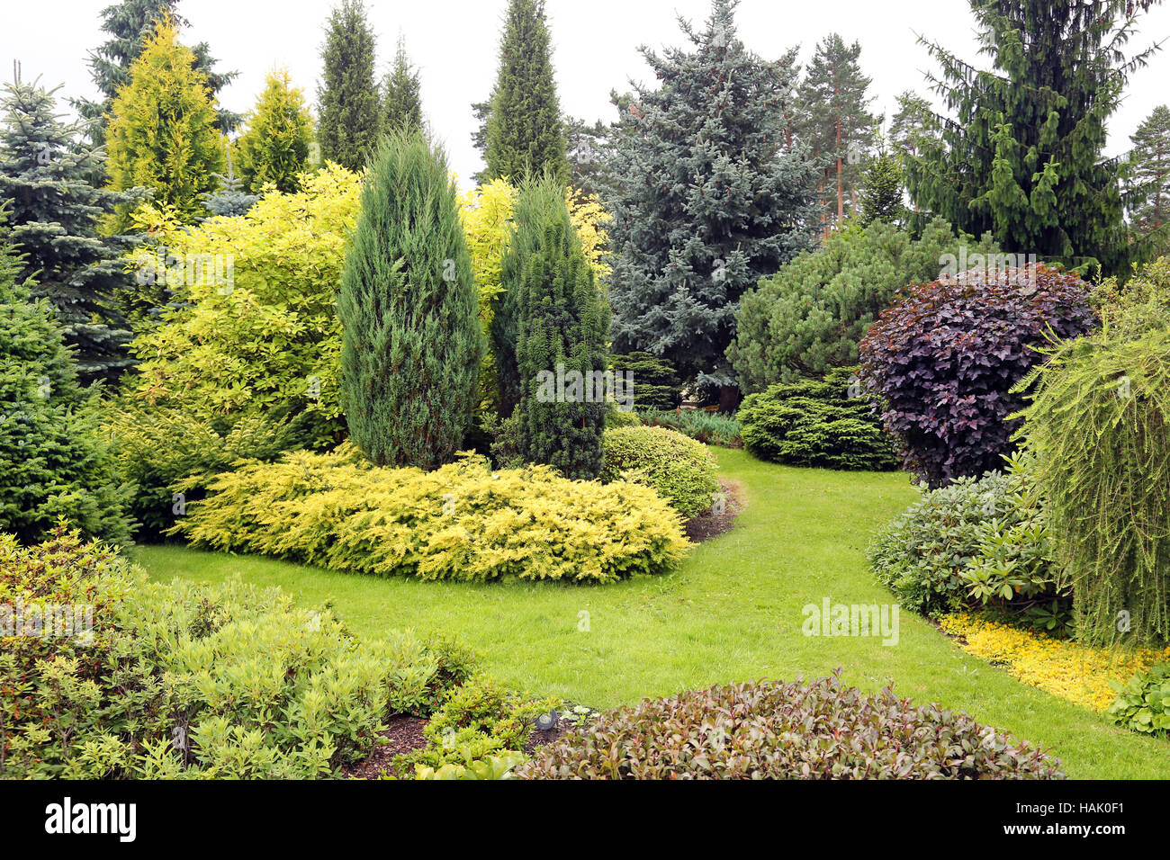 Splendido giardino con varietà di conifere e di altre piante Foto Stock