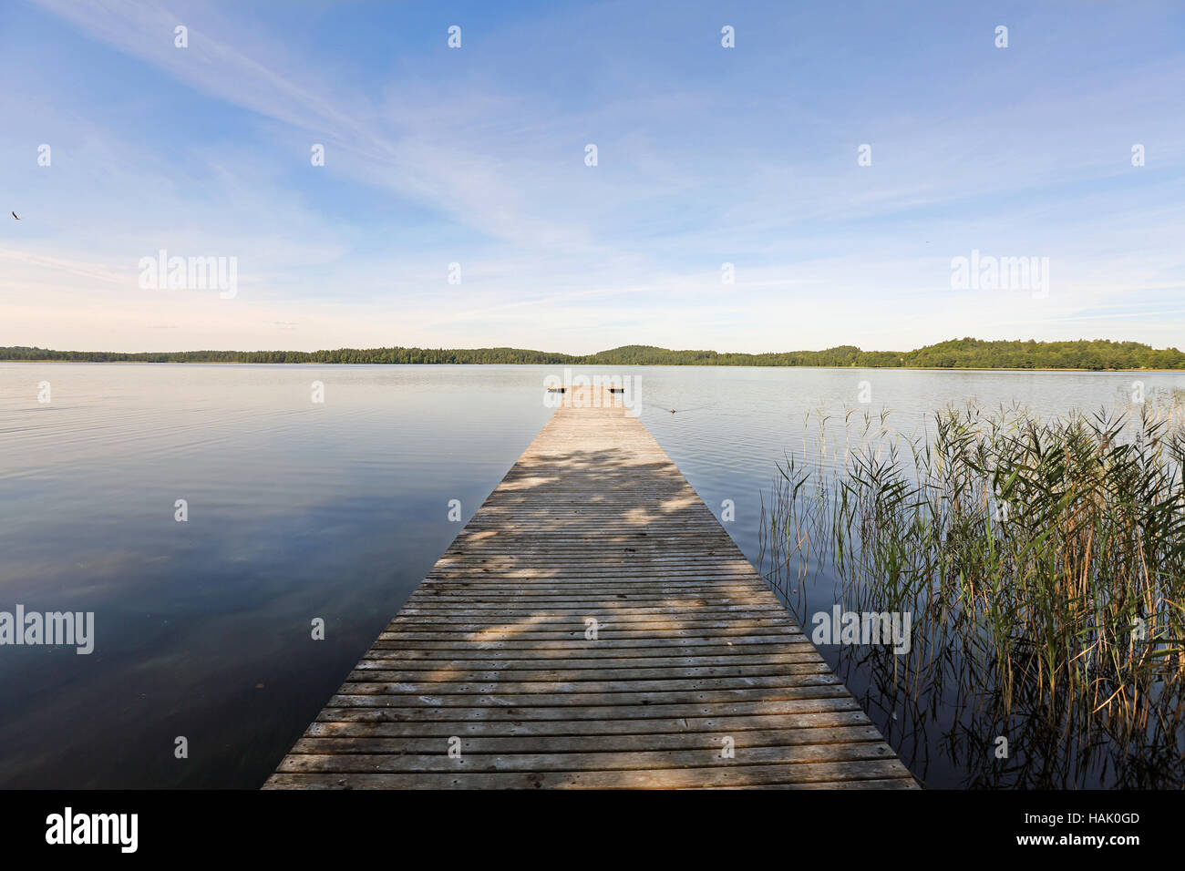 Pontile in legno sul lago Ungurs in Lettonia Foto Stock