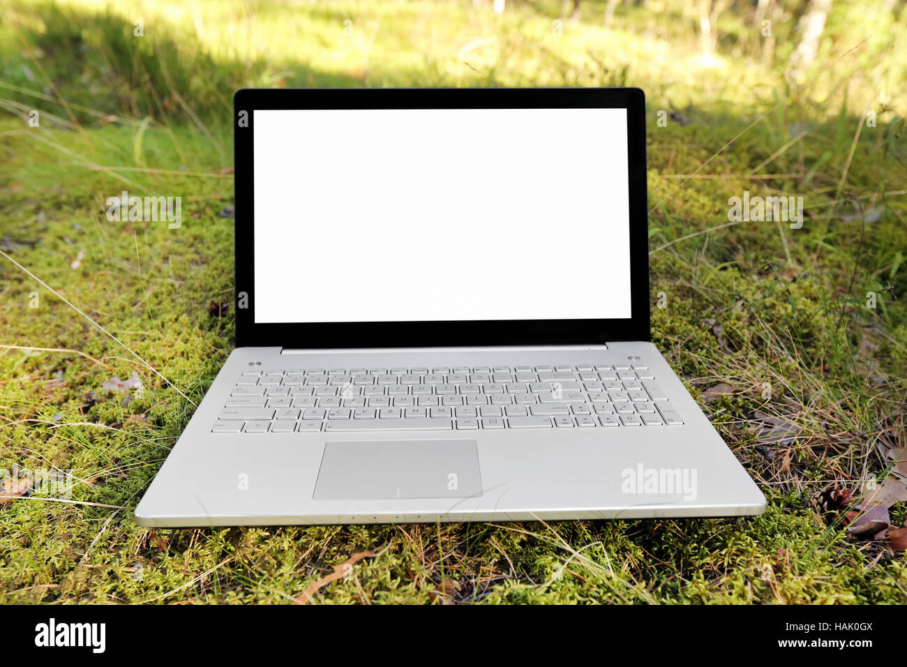 Computer portatile con schermo vuoto su moss nella foresta Foto Stock