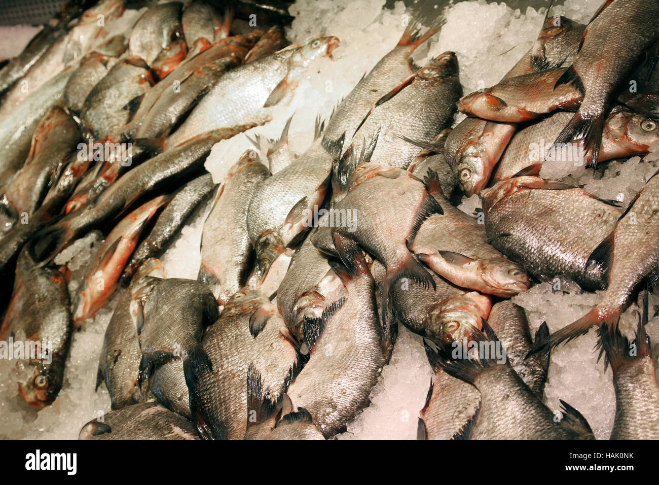 Orate di fresco pesce nel mercato Foto Stock