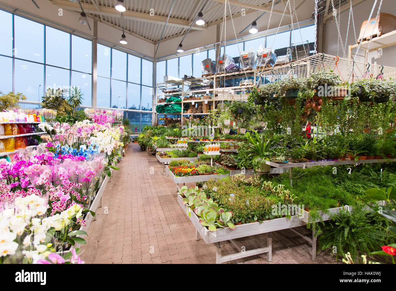 Interno del fiore e attrezzature da giardino shop Foto Stock