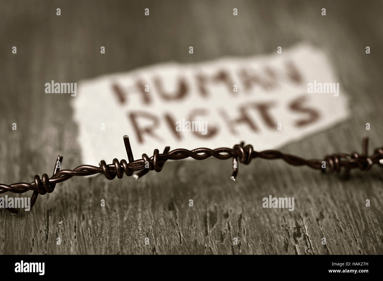 Primo piano di un filo spinato e un pezzo di carta con il testo sui diritti umani in scritti a mano su un rustico di una superficie di legno Foto Stock