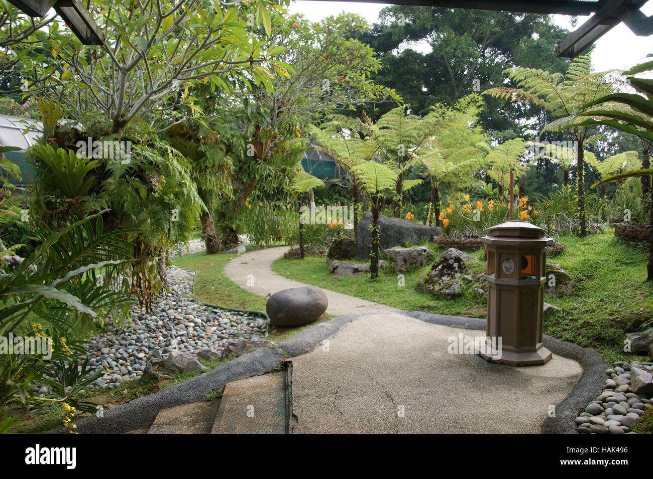 Parco delle orchidee. Taman Orkid. Kuala Lumpur in Malesia Foto Stock