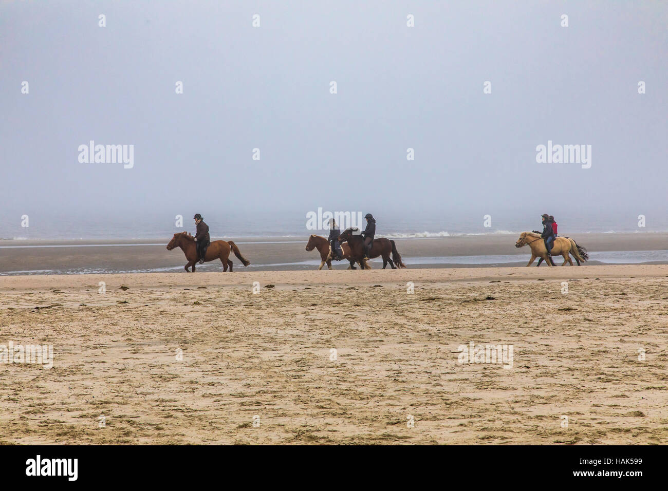 Sito del Patrimonio Mondiale Wattenmeer, isola del Mare del Nord Spiekeroog, Frisia orientale costa del Mare del Nord, con la bassa marea, passeggiate a cavallo sulla spiaggia di fitta nebbia, Foto Stock