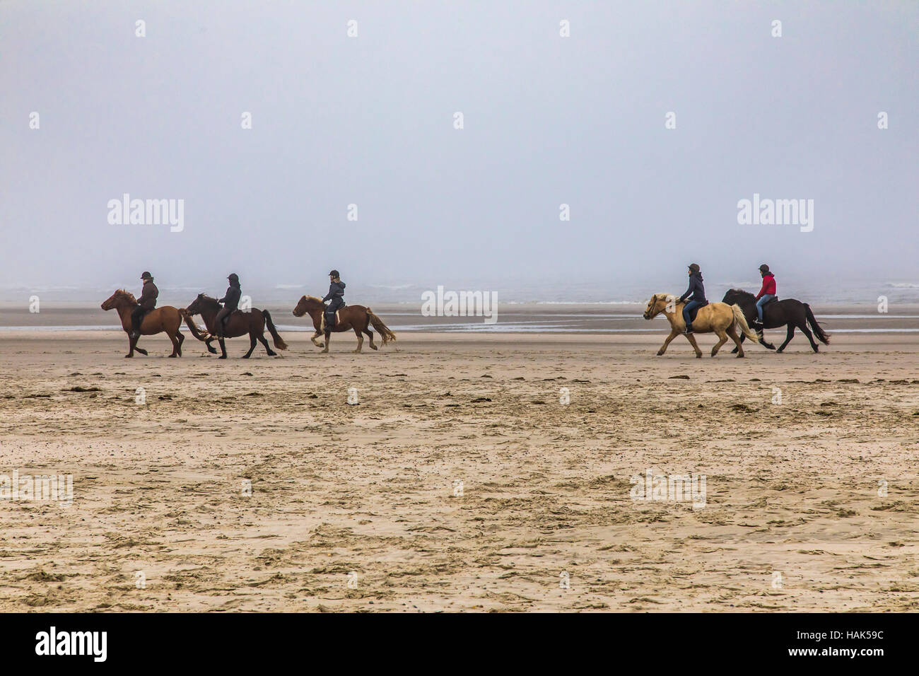 Sito del Patrimonio Mondiale Wattenmeer, isola del Mare del Nord Spiekeroog, Frisia orientale costa del Mare del Nord, con la bassa marea, passeggiate a cavallo sulla spiaggia di fitta nebbia, Foto Stock