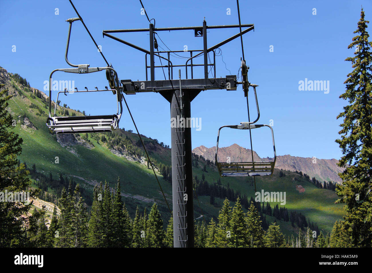 Seggiovia Alta Ski Resort piccolo pioppi neri americani Canyon, UT, STATI UNITI D'AMERICA Foto Stock