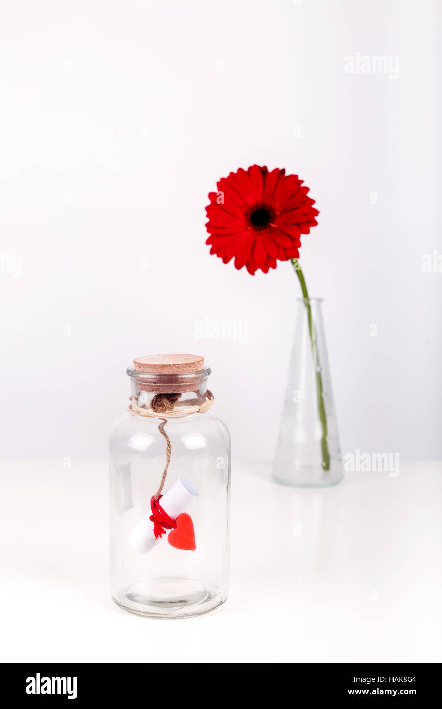 Amore un messaggio in bottiglia. Rotolo di carta bianca con filo rosso e rosso gerbera fiore su uno sfondo bianco. San Valentino concetto Foto Stock